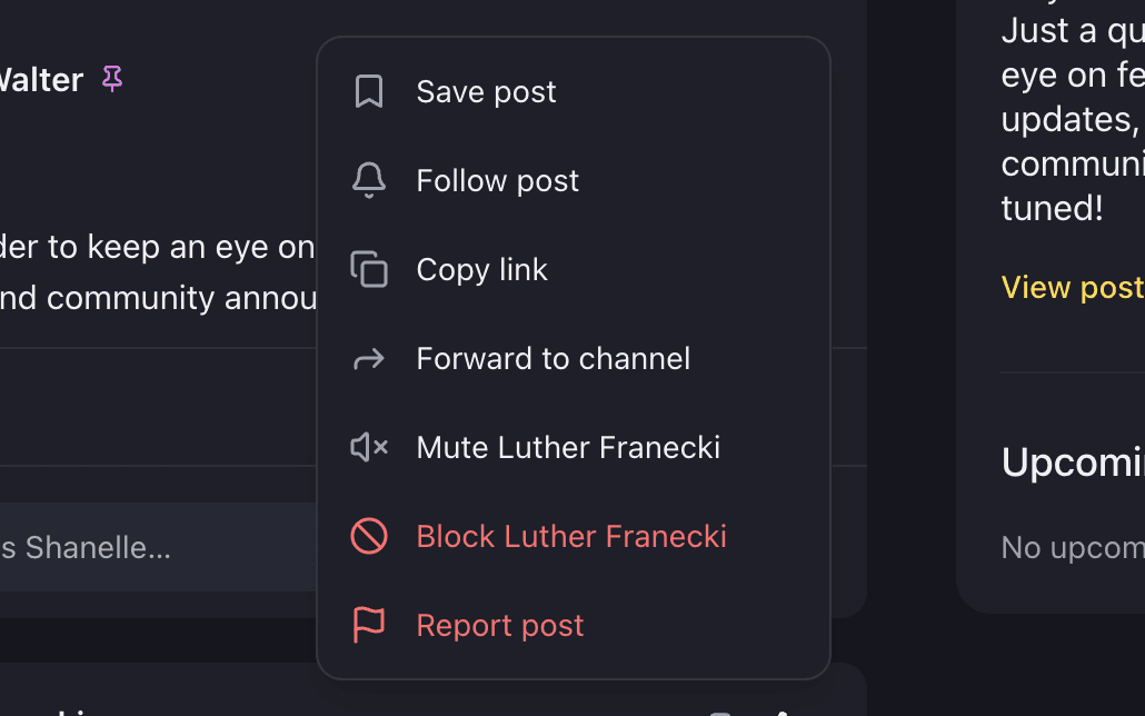 The actions menu on another member’s post: save, follow, copy link, forward, mute, block and report